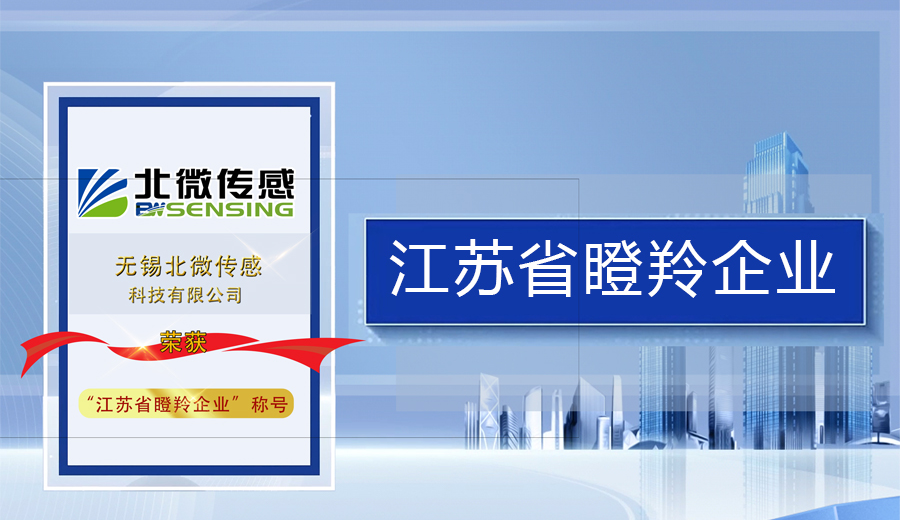 恭喜！北微传感荣获“瞪羚企业”称号